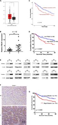 Increased Expression of Fibulin-1 Is Associated With Hepatocellular Carcinoma Progression by Regulating the Notch Signaling Pathway